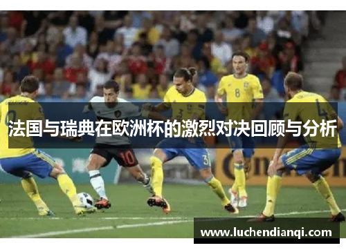 法国与瑞典在欧洲杯的激烈对决回顾与分析