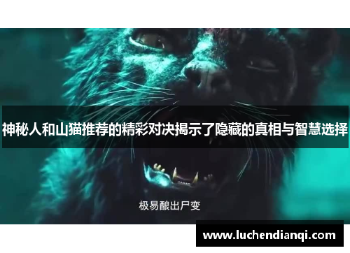 神秘人和山猫推荐的精彩对决揭示了隐藏的真相与智慧选择